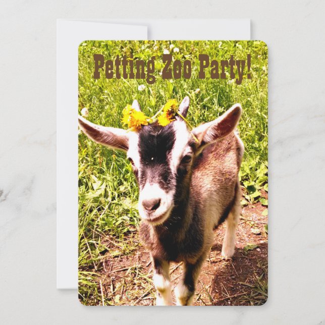 Petting Zoo Party! Customise this invitation. Invitation (Front)