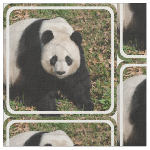 Petulant Panda Bear Fabric
