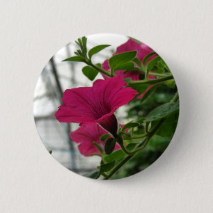 Petunia 6 Cm Round Badge