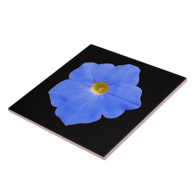Petunia Blue and Yellow Tile (Side)