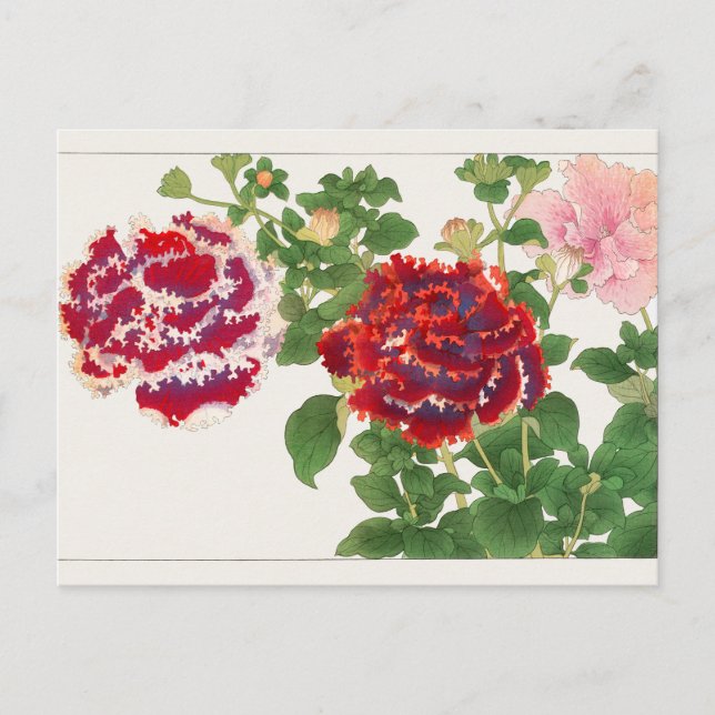 Petunia by Tanigami Konan Postcard (Front)