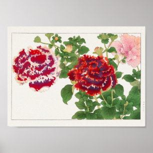 Petunia by Tanigami Konan Poster