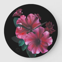Petunia flower clock