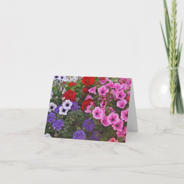 petunia flowers gift card (Front)