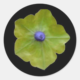 Petunia Green and Blue Sticker