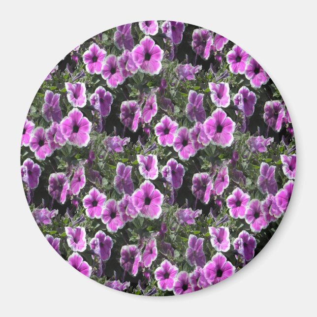 Petunia Land... Magnet (Front)