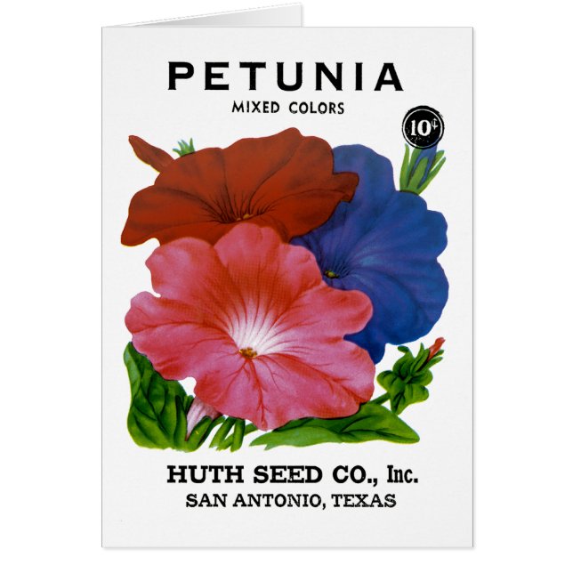 Petunia Vintage Seed Packet (Front)