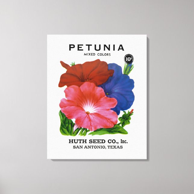 Petunia Vintage Seed Packet Canvas Print (Front)