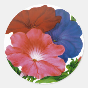 Petunia Vintage Seed Packet Classic Round Sticker