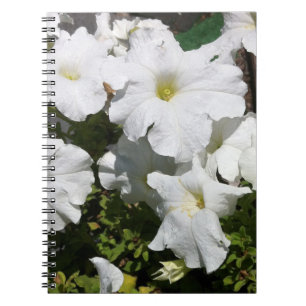 Petunia White Flower Notebook