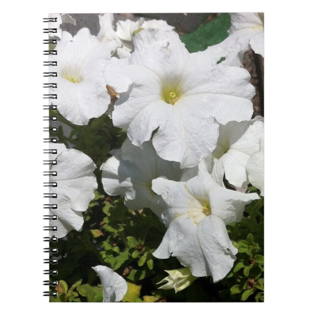 Petunia White Flower Notebook (Front)