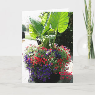 Petunias & Elephant Ear, Thinking of You Card