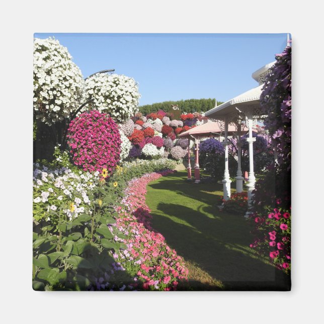 Petunias Magnet (Front)