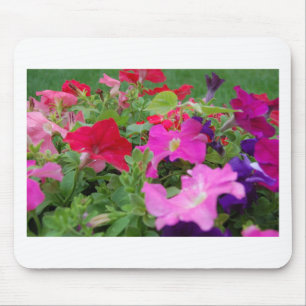 Petunias Mouse Mat
