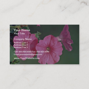 Petunias Pink flowers Business Card
