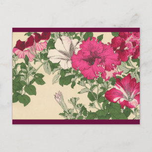 Petunias Postcard