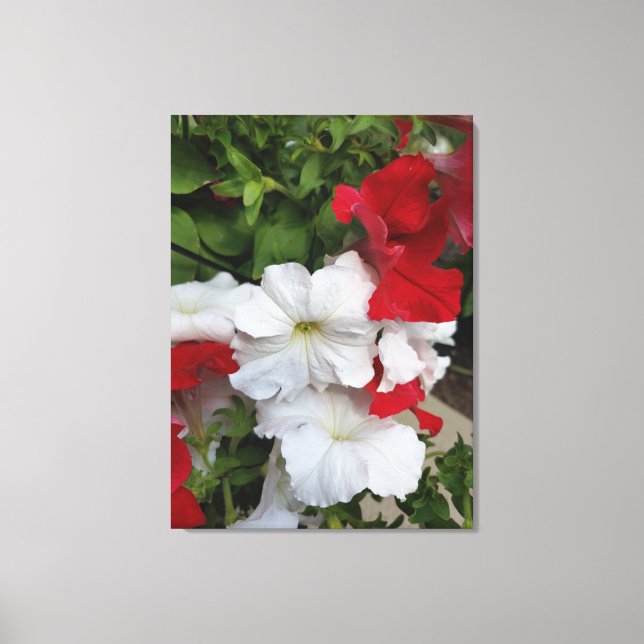 Petunias Red And White Canvas Print (Front)