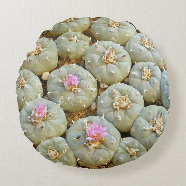 Peyote Throw Pillow (Front)