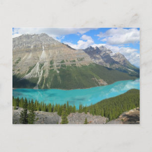 Peyto Glacial Lake Banff Park Alberta Canada Postcard