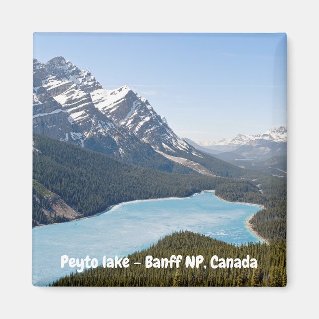 Peyto Lake - Banff National Park, Alberta, Canada Magnet (Front)
