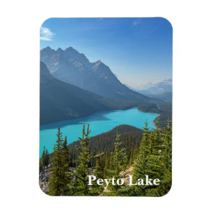 Peyto Lake in Banff Canada Magnet