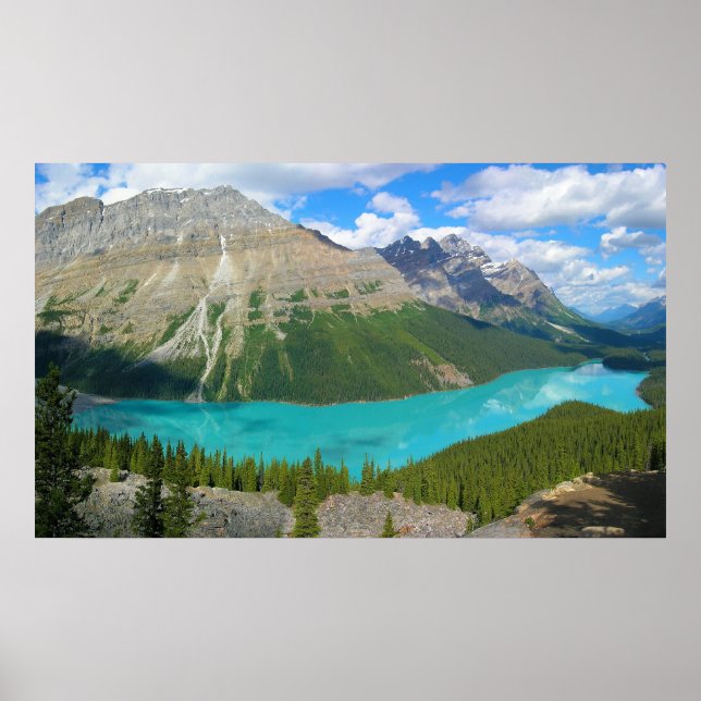 Peyto Lake in Banff National Park Alberta Canada Poster (Front)