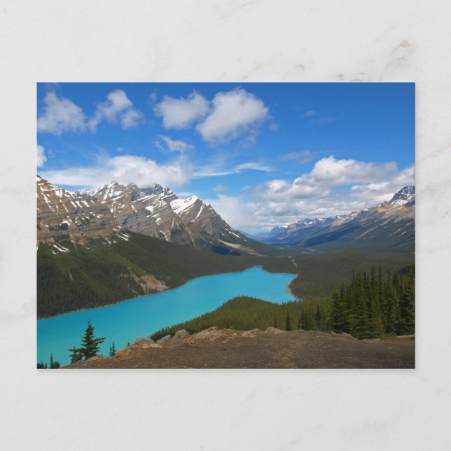 Peyto Lake (Postcard) Postcard (Front)