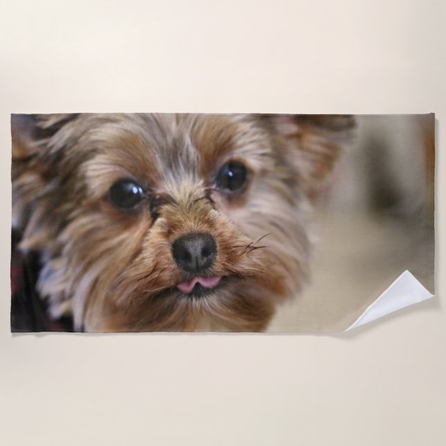 Pfft Beach Towel (Front)