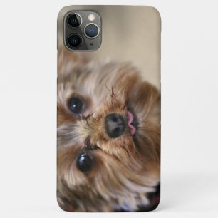 Pfft iPhone 11 Pro Max Case
