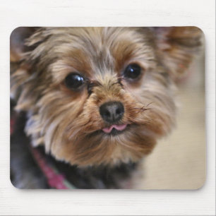 Pfft! Mouse Mat