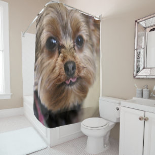 Pfft! Shower Curtain