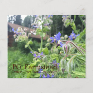 PG Farmstead flyer