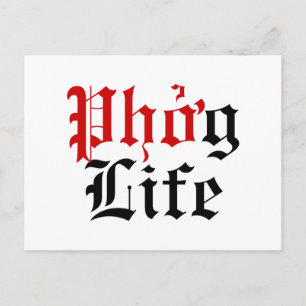 Phởg Life Postcard