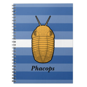 Phacops Trilobite- Prehistoric Animal Notebook