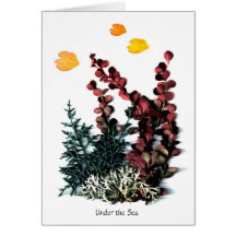 Phaedra's Phantasies - Under the Sea