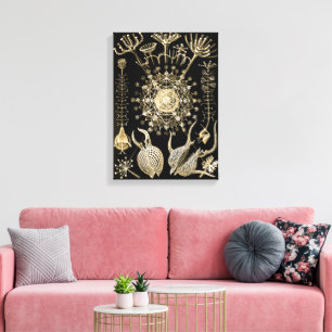 Phaeodaria   61 Gold   Ernst Haeckel   Canvas Print