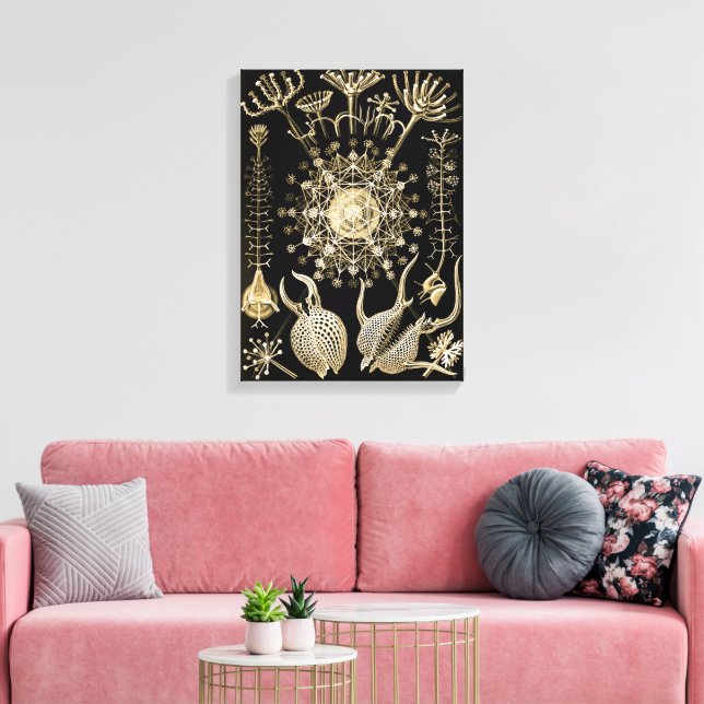 Phaeodaria | 61 Gold | Ernst Haeckel | Canvas Print (Insitu(LivingRoom))