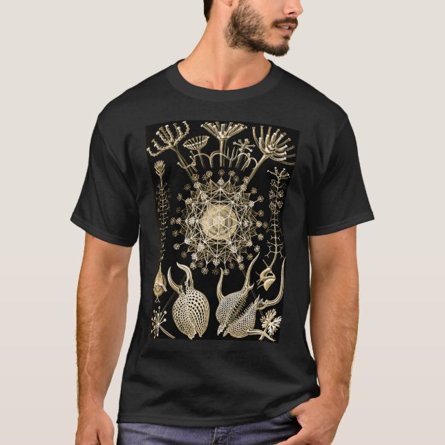 Phaeodaria | 61 Gold | Ernst Haeckel | T-Shirt (Front)