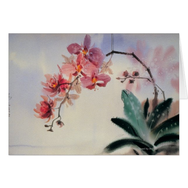 Phalaenopsis (Front Horizontal)