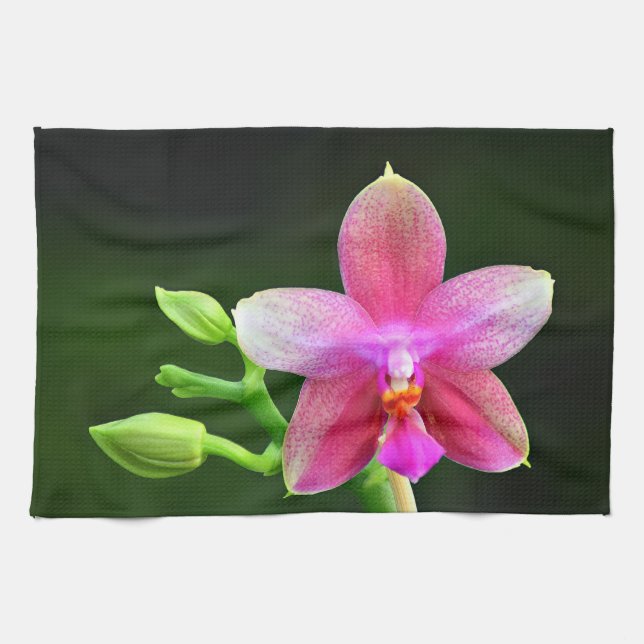 Phalaenopsis liodoro kitchen towel 40.6cm x 61cm (Horizontal)