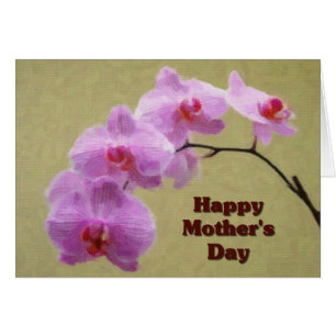 Phalaenopsis Mother's Day