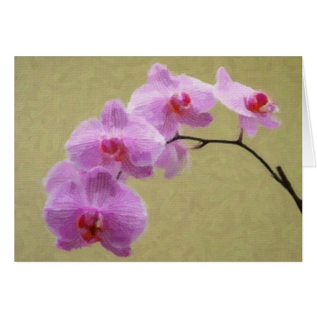 Phalaenopsis Orchid (Front Horizontal)