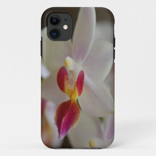 Phalaenopsis Orchid iPhone 11 Case