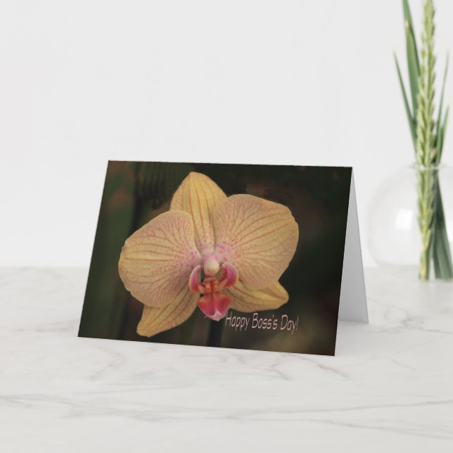 Phalaenopsis orchid Happy Boss's Day Card (Front)