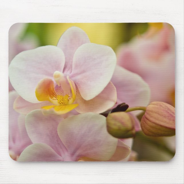 Phalaenopsis Orchid Mouse Mat (Front)