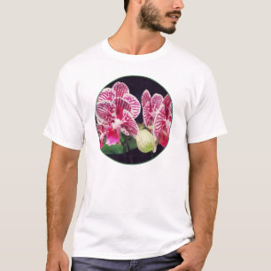 Phalaenopsis Orchid Taida Little Zebra T-Shirt