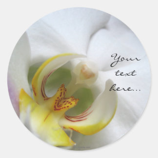 Phalaenopsis Orchid Wedding Invitation Seals