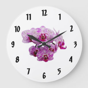 Phalaenopsis OX Happy Girl Orchid Large Clock