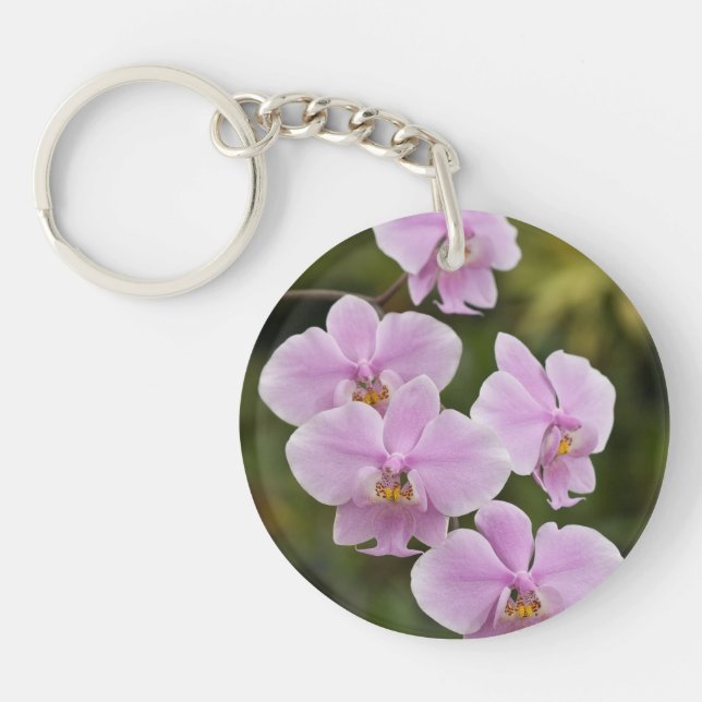 Phalaenopsis Schilleriana Key Ring (Front)