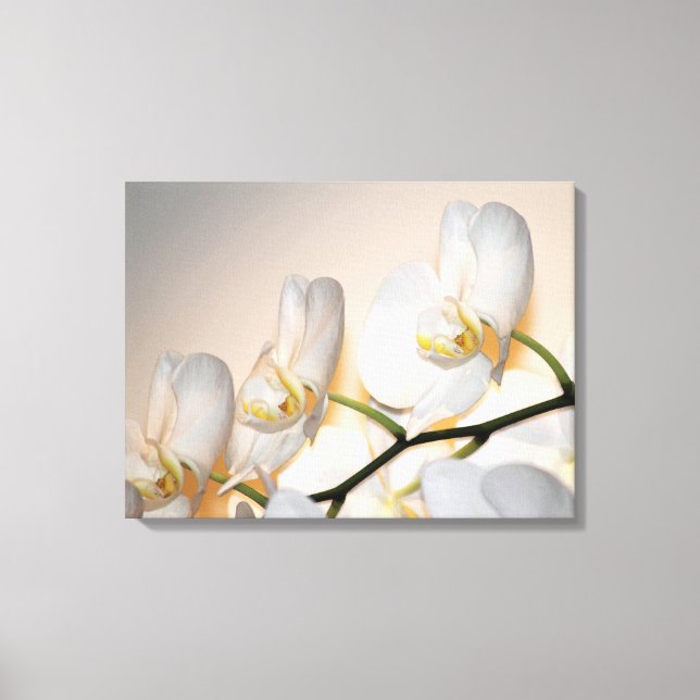 Phalaenopsis Sogo Yukidian Orchid Wrapped Canvas (Front)